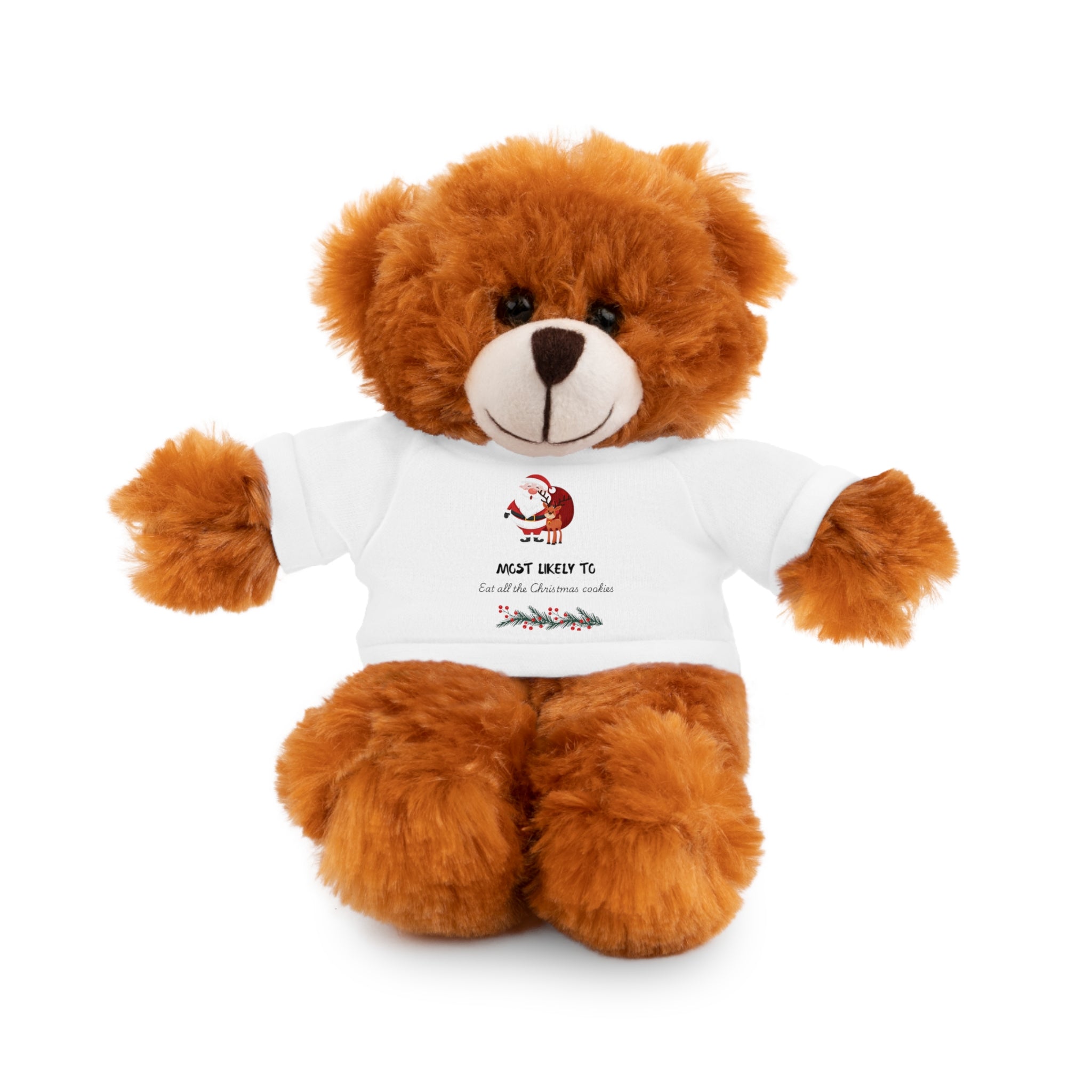 Plush Bear with Printed Tee — Cute Custom Stuffed Animal Gift